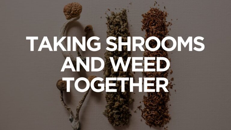 Effects of Shrooms vs Weed When Taken Separately and Together