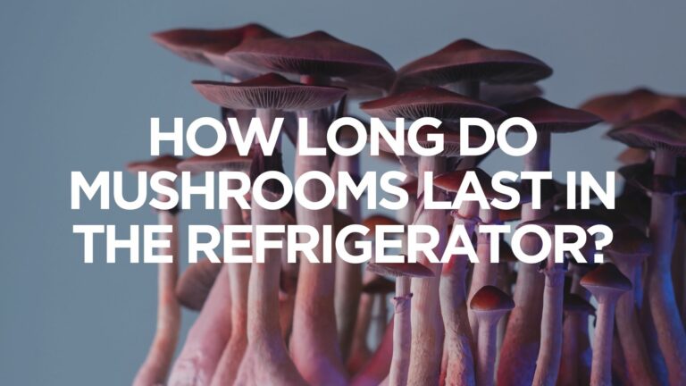 How Long Do Mushrooms Last in the Refrigerator