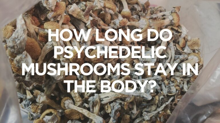 How Long Do Psychedelic Mushrooms Stay in the Body