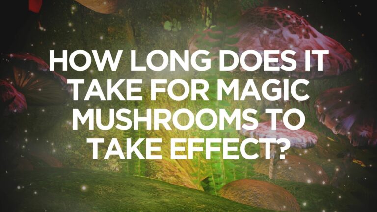 How Long Does It Take for Magic Mushrooms to Take Effect