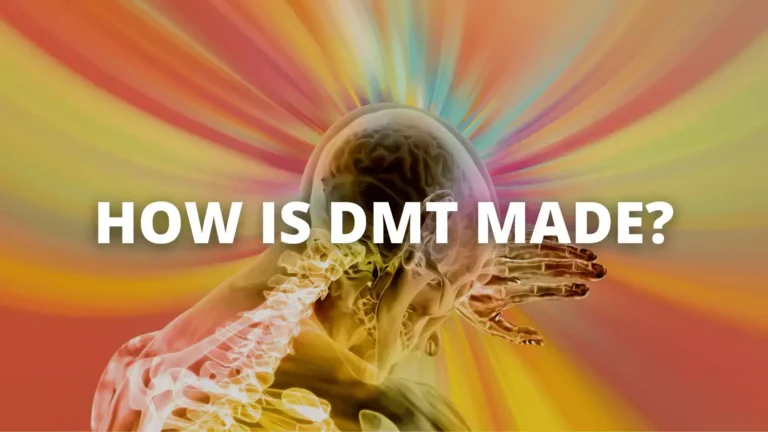 how is dmt made