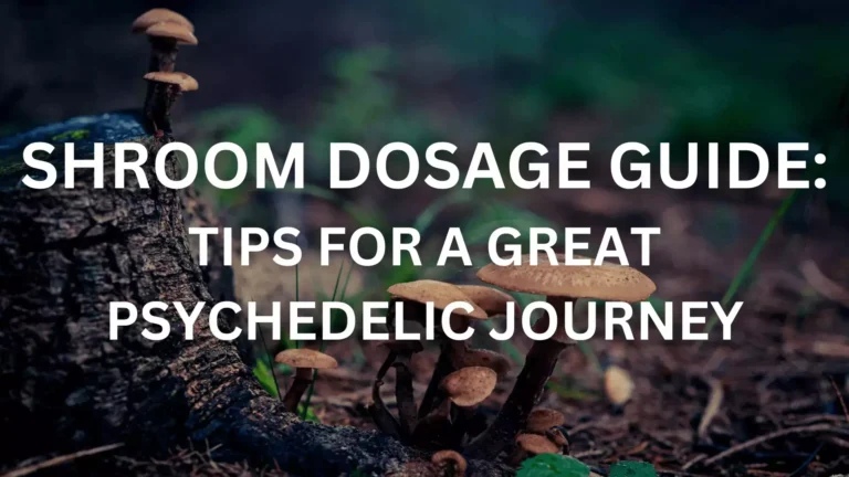 Shroom Dosage Guide – Tips for a Great Psychedelic Journey