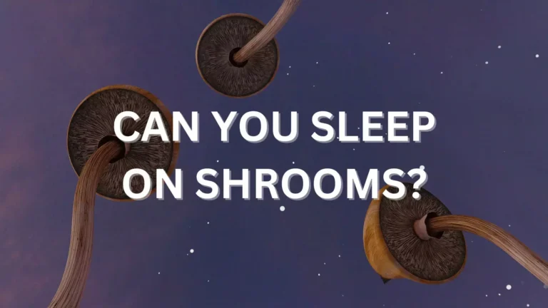 can you sleep on shrooms