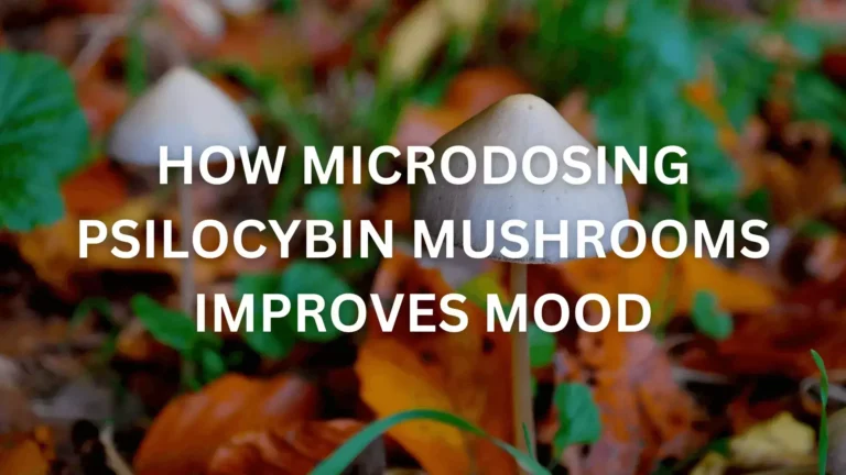 how microdosing psilocybin improves mood