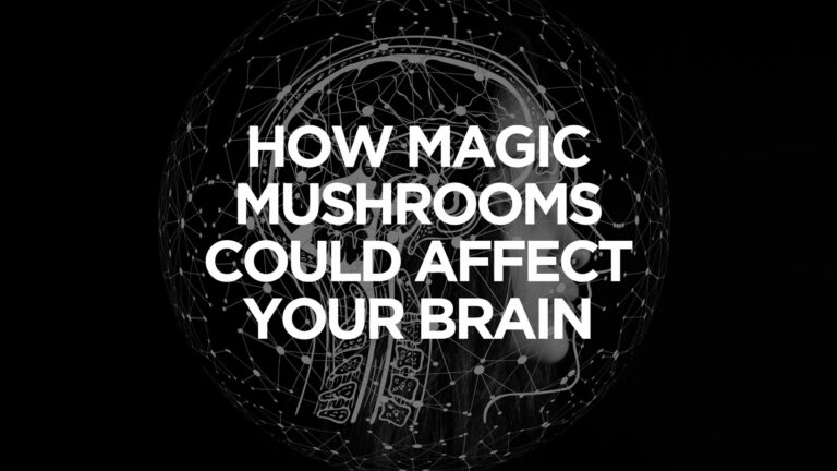 How Magic Mushrooms Could Affect Your Brain