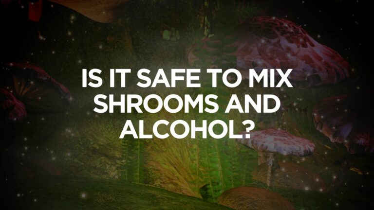 Is It Safe to Mix Shrooms and Alcohol?