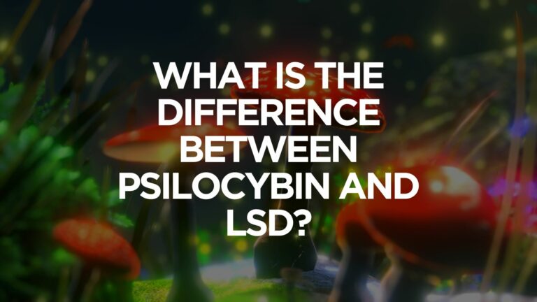 What Is the Difference Between Psilocybin and LSD?