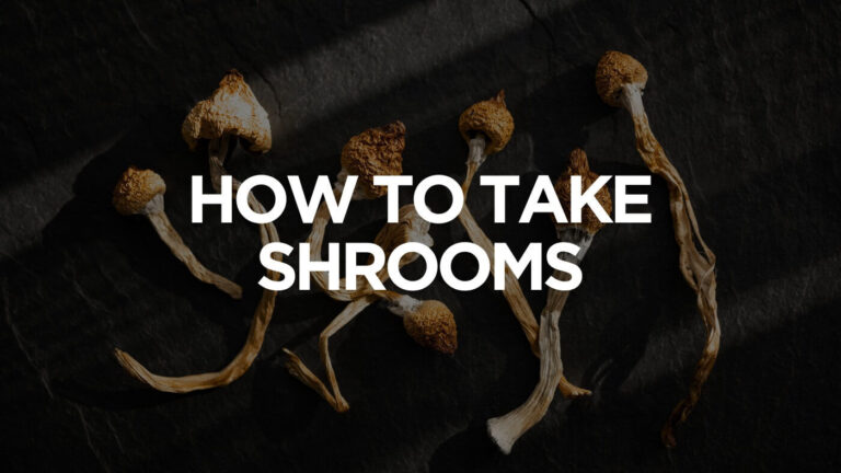 how-to-take-shrooms