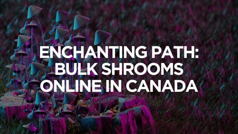 enchanting path: bulk shrooms online in canada