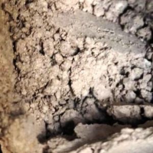 Bulk Em Labs 2C-B HCl Powder