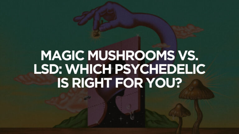 Magic Mushrooms Vs. LSD: Which Psychedelic Is Right For You?