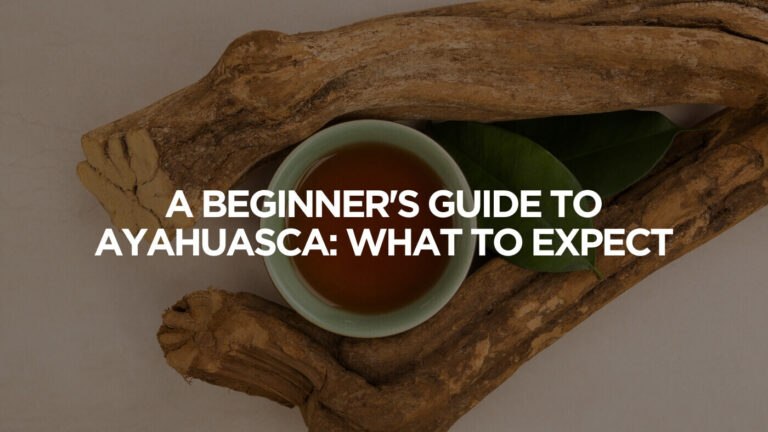 A Beginner's Guide to Ayahuasca What to Expect