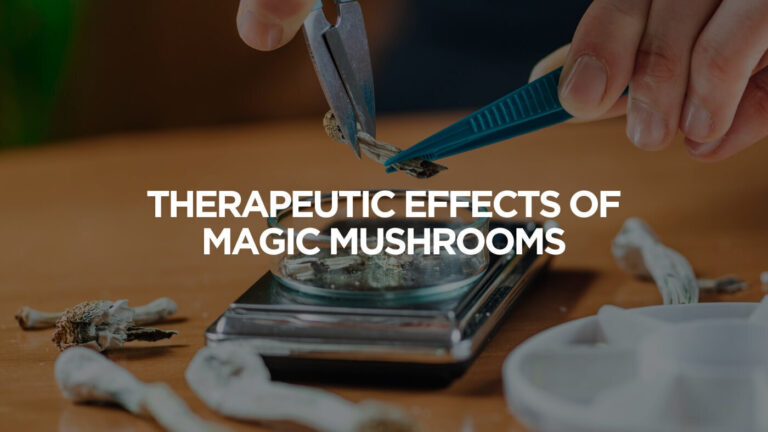magic mushroom turned into medicine