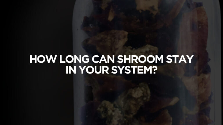 Shroom in your system