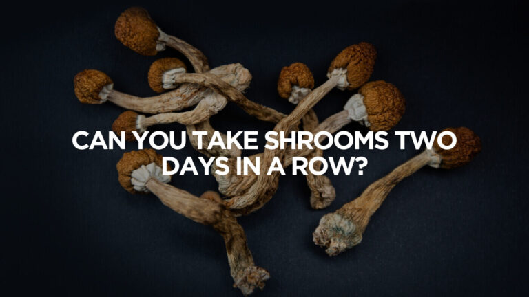shroom in canada
