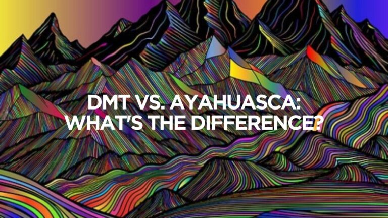 DMT vs. Ayahuasca: What’s the Difference?