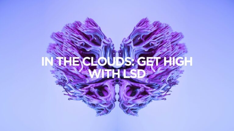LSD I Kitty Molly