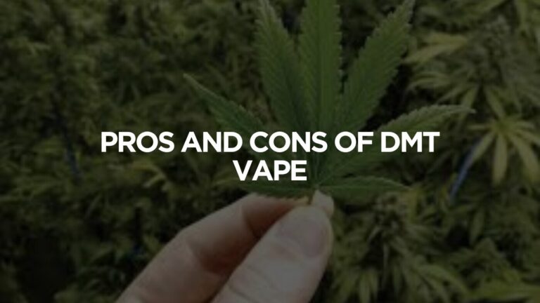Pros and cons of DMT Vapes I Kitty Molly