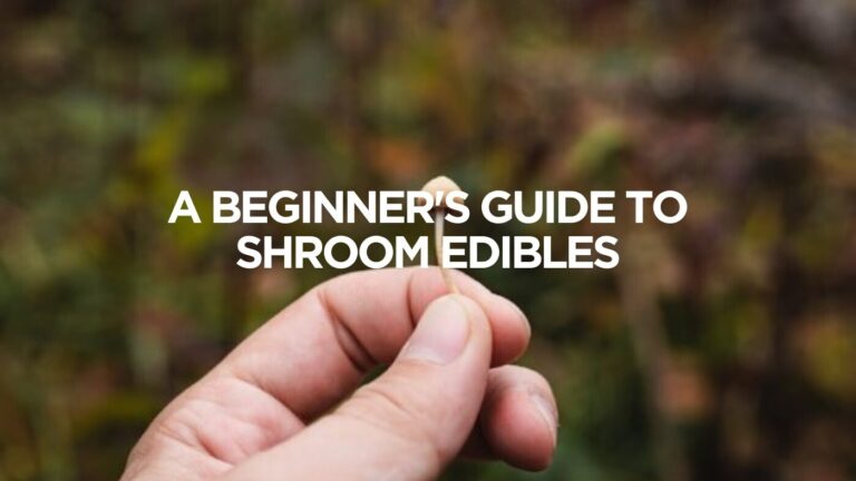 A Beginner’s Guide to Shroom Edibles
