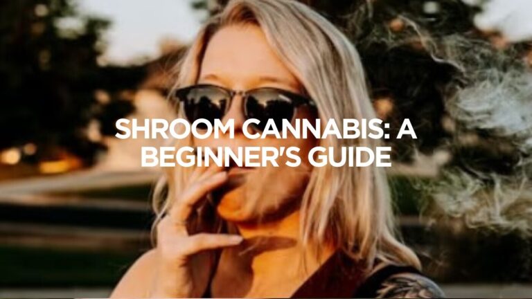 Shroom Cannabis: A Beginner’s Guide