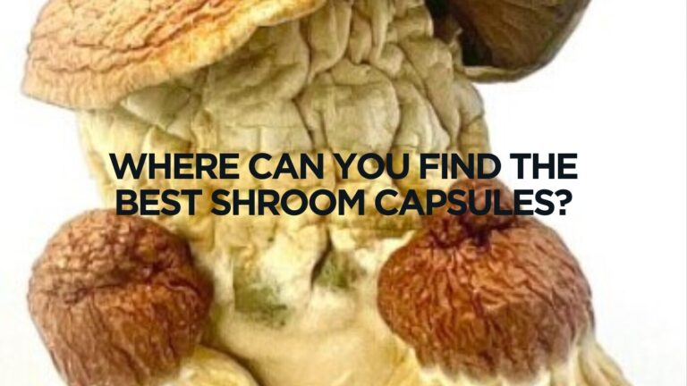 Where Can You Find the Best Shroom Capsules?