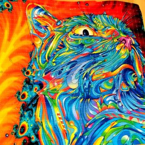 HoneyBadger LSD 100Mcg: Trippy Kitty