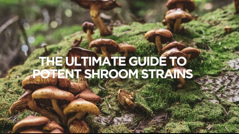 The Ultimate Guide to Potent Shroom Strains
