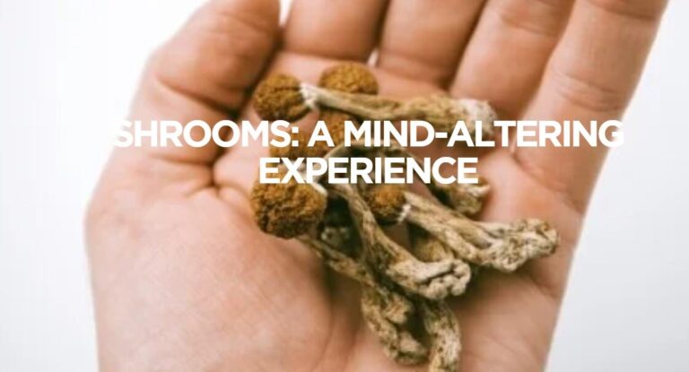 Shrooms: A Mind-Altering Experience