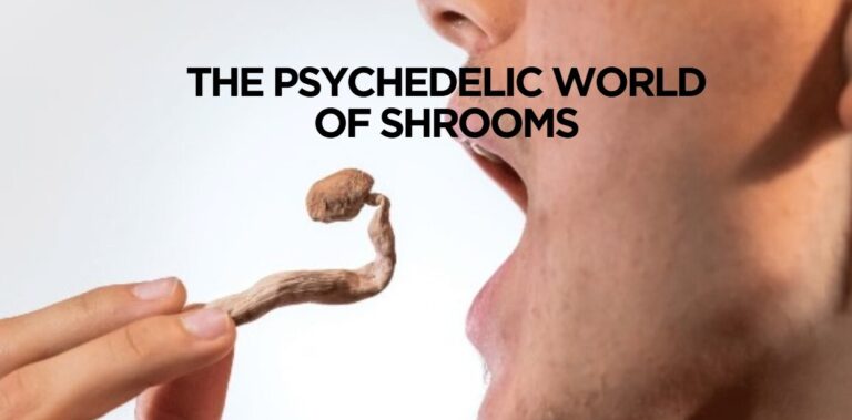 The Psychedelic World of Shrooms