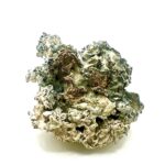 Exotic Enigma Shrooms