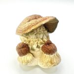 Trans Envy Shrooms (South African Transkei x Penis Envy)